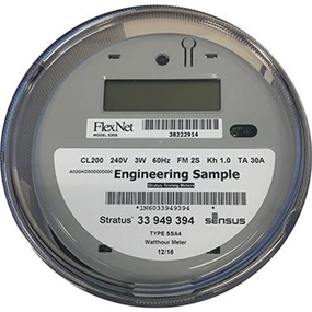 Sensus FlexNet SmartPoint Module in Sensus Stratus Meter